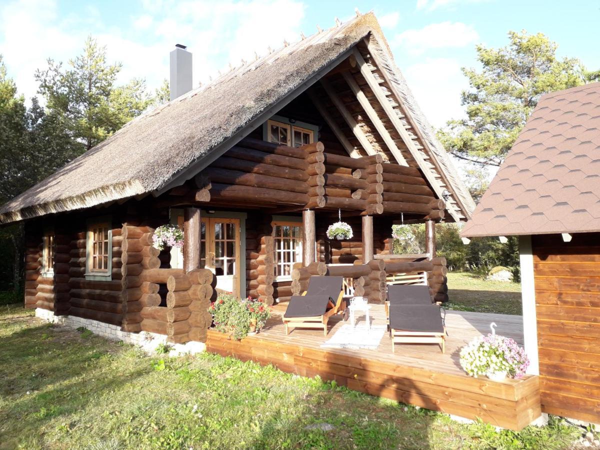Paehkli Seaside Cottage With Cozy Outdoor Patio Koiguste Ngoại thất bức ảnh